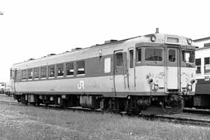 Ln53 202